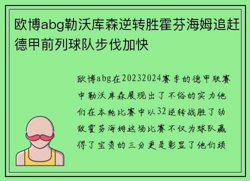 欧博abg勒沃库森逆转胜霍芬海姆追赶德甲前列球队步伐加快